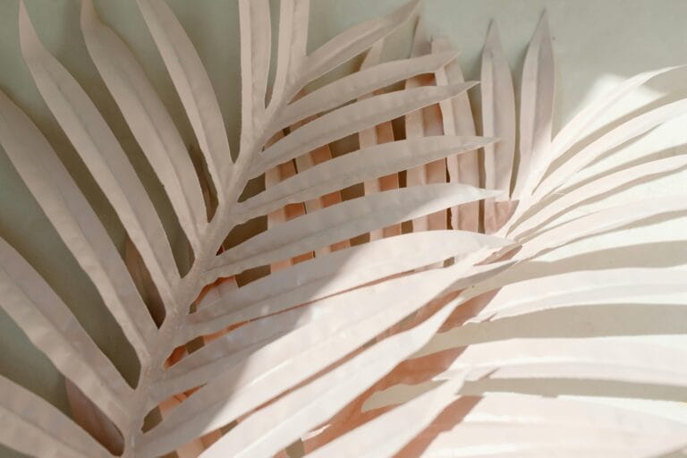 feuille de palme blanc